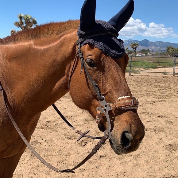 Meet your Posher, Kelly - Picture 3 of 16